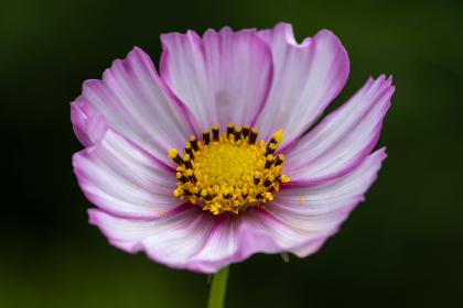 a7i19e95