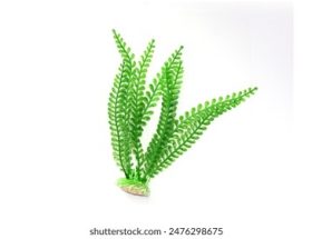 ditq80j6c7